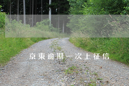 京東逾期一次上征信