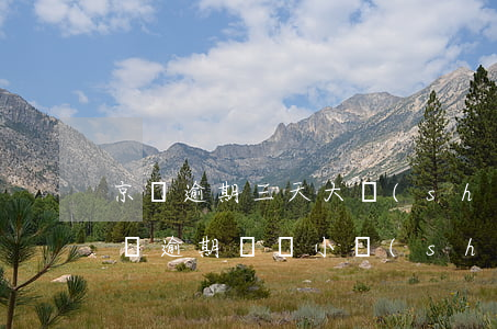 京東逾期三天大數(shù)據(jù) 京東逾期幾個小時(shí)