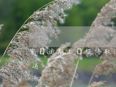京東逾期上報征信取消(京東逾期上報征信取消)