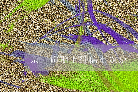 京東逾期上征信4次(京東逾期上征信4次)