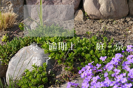 京東逾期上訴開庭-京東發(fā)訴訟通告了