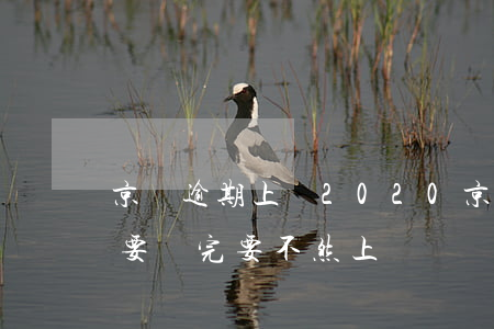 京東逾期上門2020(京東逾期30多天,說要還完,要不然上門)