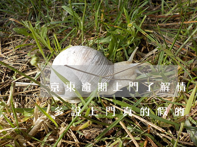 京東逾期上門了解情況(京東逾期兩個月一千多說上門真的假的?)