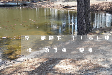 京東逾期下發(fā)律師函(京東逾期收到律師函了,快遞是京東)