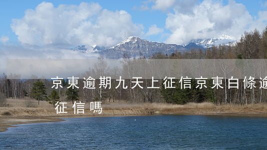 京東逾期九天上征信(京東白條逾期9天會上征信嗎)