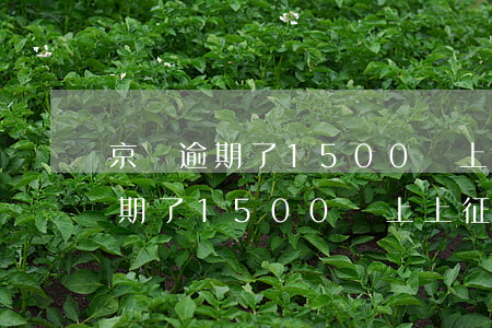 京東逾期了1500還上上征信嗎-京東逾期了1500還上上征信嗎有影響嗎