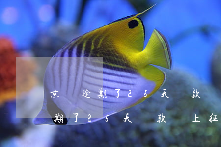 京東逾期了25天還款會上征信么-京東逾期了25天還款會上征信么嗎