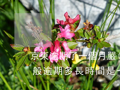 京東逾期了一個月嚴(yán)重嗎 京東一般逾期多長時間是一個月半還是三個月