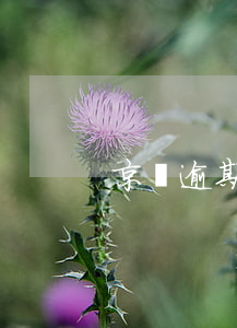 京東逾期了一天還款(京東逾期了一天還款)