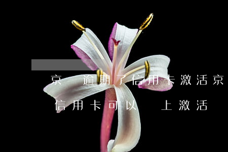 京東逾期了信用卡激活(京東金融上面申請的信用卡可以線上激活嗎)