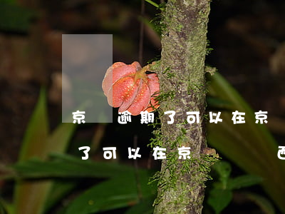 京東逾期了可以在京東買東西嗎-京東逾期了可以在京東買東西嗎安全嗎