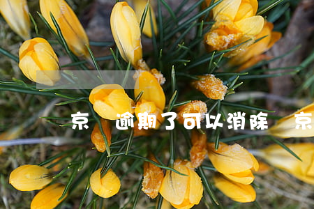 京東逾期了可以消除嗎(京東逾期了可以消除嗎)