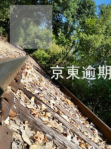 京東逾期了幾天還款后有額度嗎