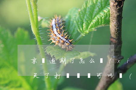 京東逾期了怎么協(xié)商(京東逾期三天了打電話來可以協(xié)商嗎)