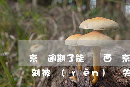 京東逾期了能買東西嗎(京東如果逾期了會立刻被認(rèn)為失信嗎?)