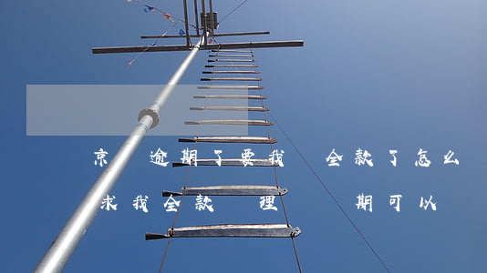 京東逾期了要我還全款了怎么辦(京東逾期要求我全款處理 還當期可以嗎)