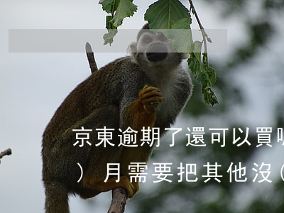 京東逾期了還可以買嗎(京東逾期2個(gè)月,需要把其他沒(méi)有逾期的也要還嗎)