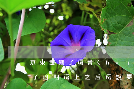 京東逾期了還會(huì)上法院(京東逾期了,逾期還上之后,還說要上門)