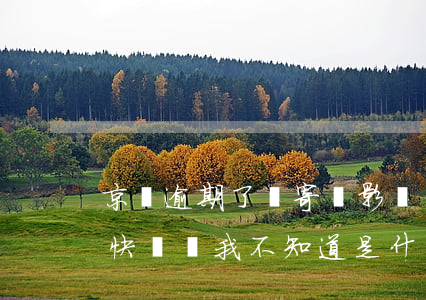 京東逾期了郵寄會影響嗎(京東逾期寄了一份快遞給我不知道是什么)