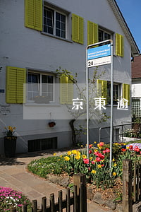 京東逾期五個月了