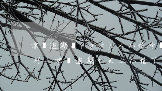 京東逾期個(gè)人征信修復(fù)技巧-京東逾期3天上征信了能申請撤回嗎