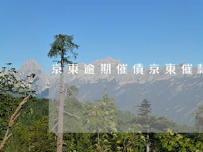 京東逾期催債(京東催款信息)