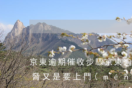 京東逾期催收步驟(京東逾期兩天催收又是威脅,又是要上門(mén))