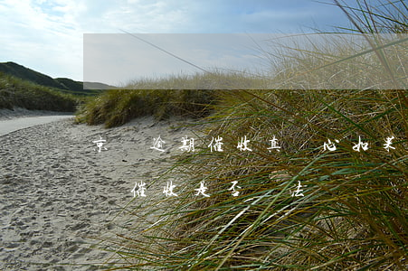 京東逾期催收真惡心(如果欠京東錢,逾期了,上門催收,是否違法)