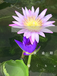 京東逾期催款能投訴嗎(京東借款逾期多少天會(huì)打家里電話催收)