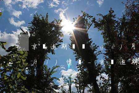 京東逾期兩個(gè)月要去家里核實(shí)情況-京東逾期兩個(gè)月要去家里核實(shí)情況是真的嗎
