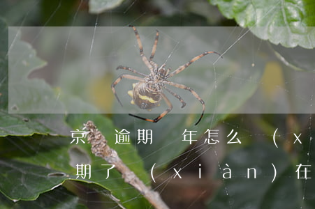 京東逾期兩年怎么協(xié)商 在京東逾期了現(xiàn)在沒辦法還可以溝通嗎