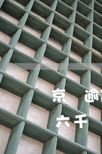 京東逾期六千會(huì)走訪嗎(京東逾期六千會(huì)走訪嗎)