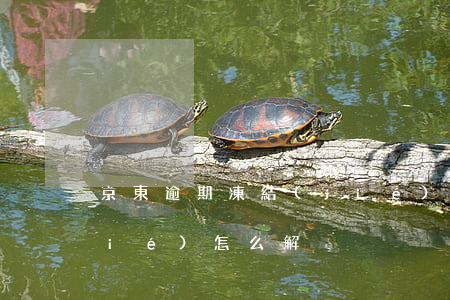 京東逾期凍結(jié) 京東暫時凍結(jié)怎么解