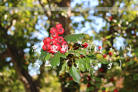 京東逾期凍結(jié)提醒(京東逾期30天已經(jīng)還了還會收到通告函嗎)
