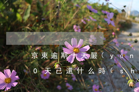 京東逾期十天嚴(yán)重嗎(京東逾期10天,己還,什么時(shí)候能恢復(fù)正常使用)
