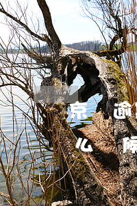京東逾期十天嚴重嗎(京東逾期10天,己還,什么時候能恢復(fù)正常使用)