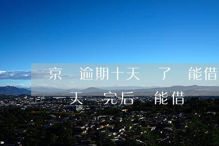 京東逾期十天還了還能借嗎 京東逾期過一次一天 還完后還能借嗎