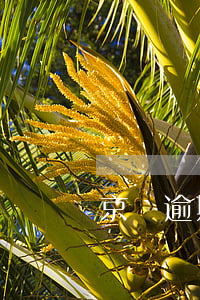 京東逾期半個月上征信