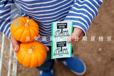 京東逾期取消分期資格(京東分期取消訂單后果)