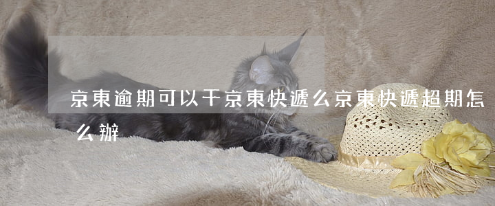 京東逾期可以干京東快遞么(京東快遞超期怎么辦)