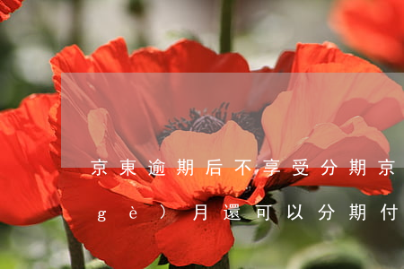 京東逾期后不享受分期(京東金融逾期兩個(gè)月還可以分期付款嗎)
