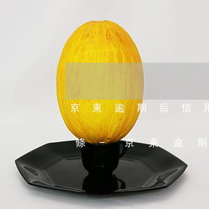 京東逾期后信用多少不會(huì)被停白條-京東逾期后信用多少不會(huì)被停白條了