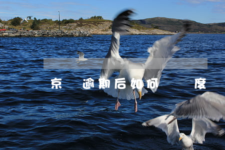 京東逾期后如何漲額度