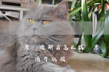 京東逾期后怎么收費(京東逾期一天要求全部還清可以投訴嗎)