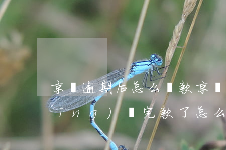 京東逾期后怎么還款(京東逾期3天已經(jīng)還完款了,怎么不能借款了)