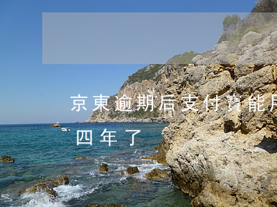 京東逾期后支付寶能用嗎(京東支付寶逾期三四年了)