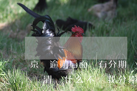 京東逾期后面還有分期還款(京東金融逾期后還清憑什么不讓我分期了)