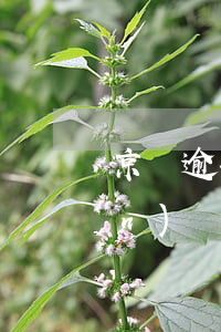 京東逾期啦銀行卡進(jìn)錢(qián)會(huì)不會(huì)秒扣-京東逾期啦銀行卡進(jìn)錢(qián)會(huì)不會(huì)秒扣呢