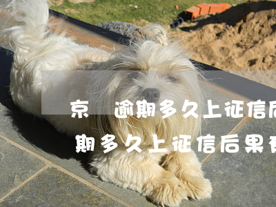 京東逾期多久上征信后果有多嚴重-京東逾期多久上征信后果有多嚴重啊