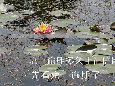京東逾期多久上征信 最新規(guī)則搶先看（京東逾期了一個月上征信嗎）